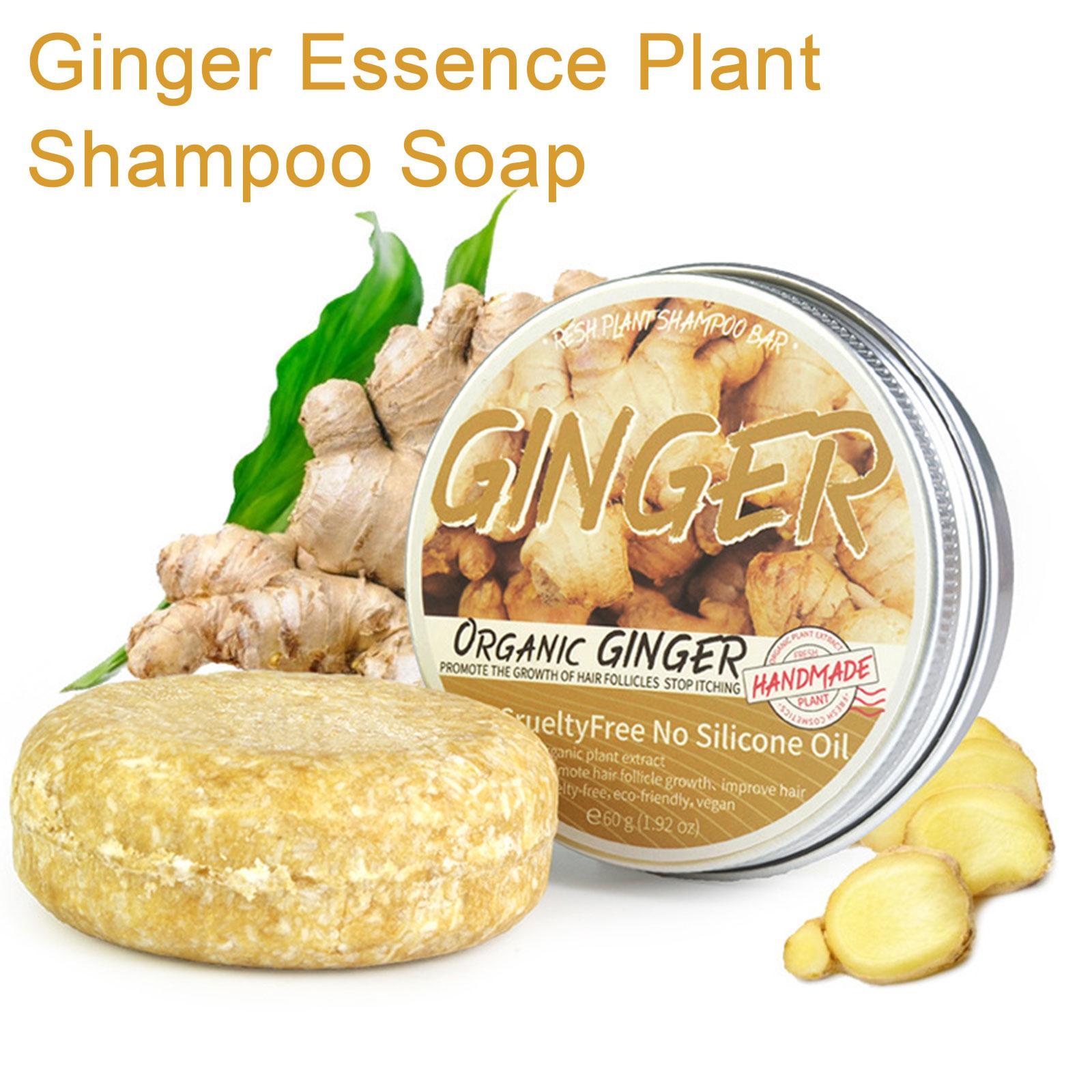 Hair Care Organic - شامبو بطعم الزنجبيل للعناية بالشعر ،